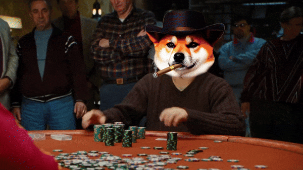 PokerDog solana memecoin - Dogs Playing Poker memecoin